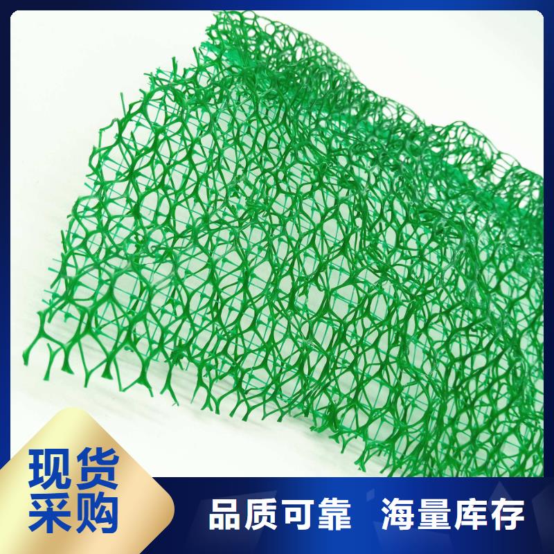 三维植被网,防护虹吸排水收集系统好产品价格低
