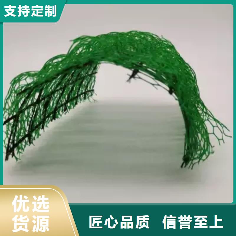 三维植被网_防护虹吸排水收集系统实力厂家