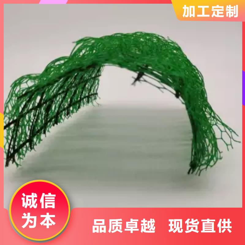 三维植被网_防护虹吸排水收集系统实力厂家