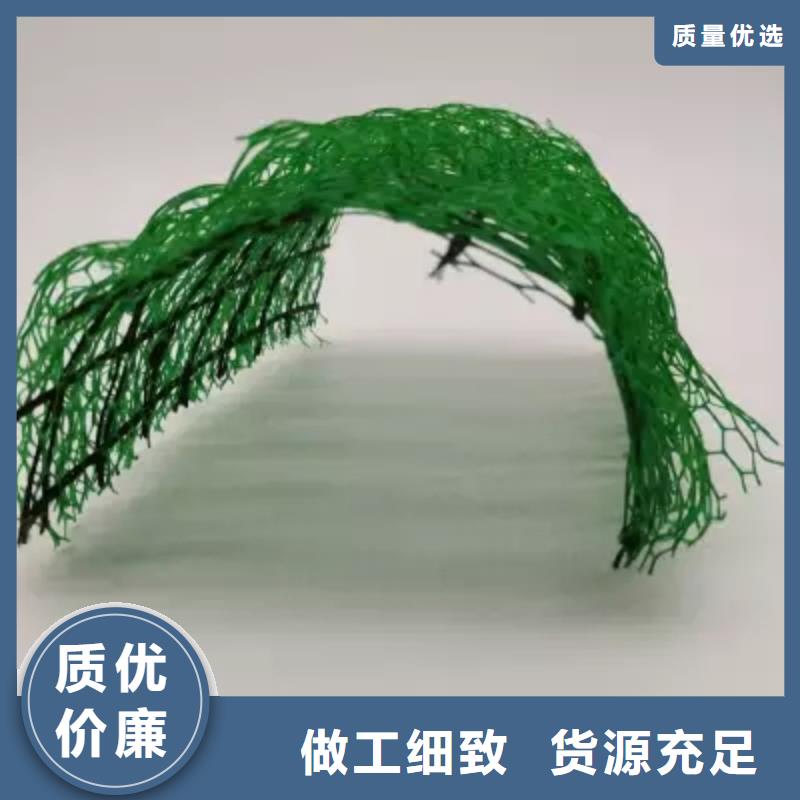 三维植被网厂家供应边坡复绿