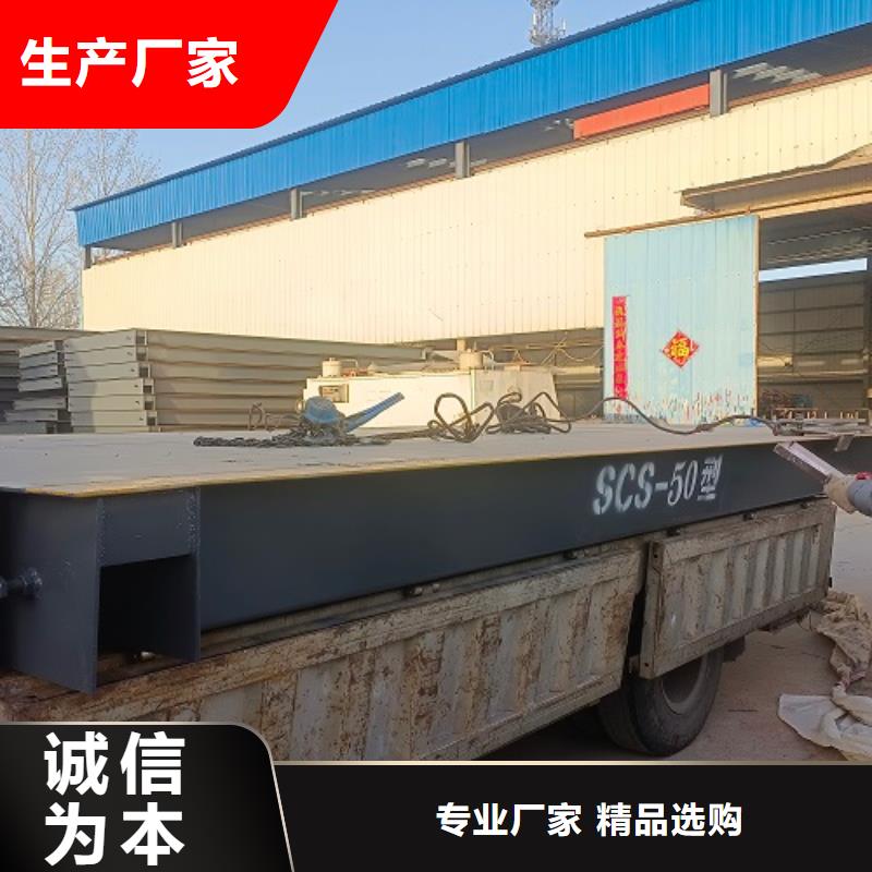 地磅 电子磅颜色尺寸款式定制
