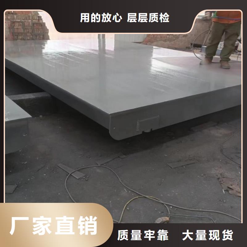 【电子地磅吊钩秤仪表合作共赢】