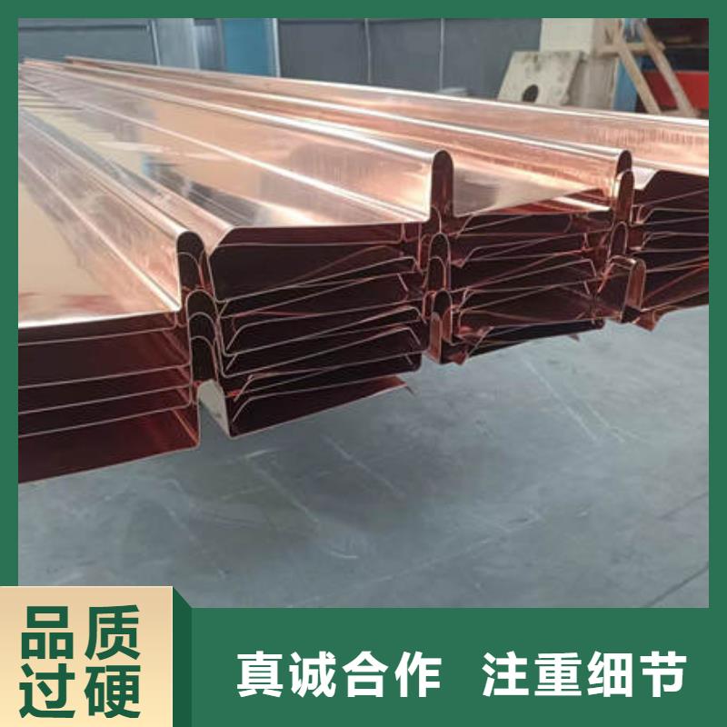 常山W型止水铜片实体厂家