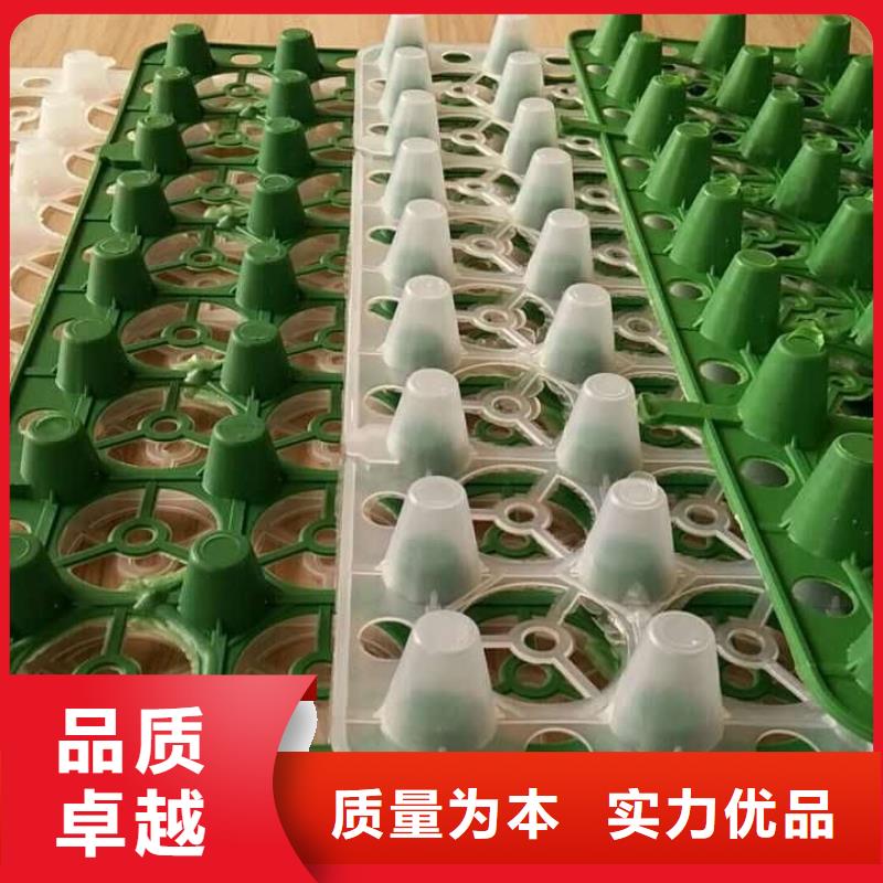 滤水板—量大包运