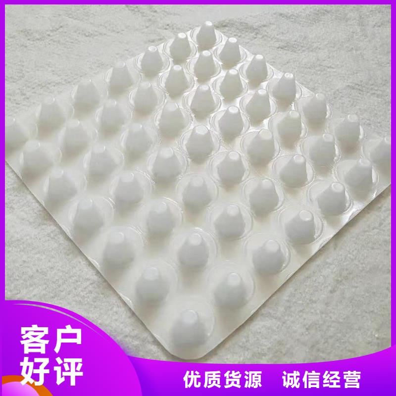 新闻：凹凸型排蓄水板！生产厂家