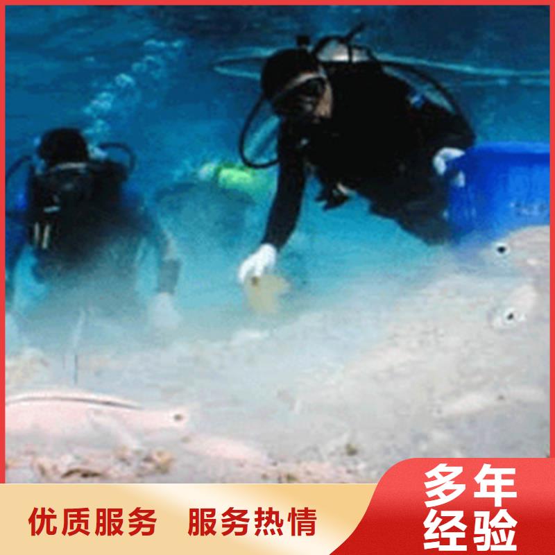 声呐预订