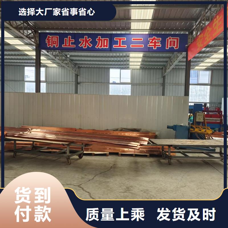 仿钢纤维公司发货快