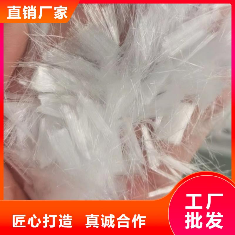 PP短纤维厂家购买