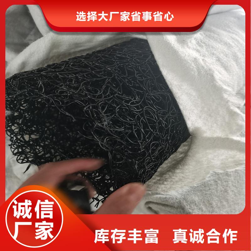 排水盲管紫铜止水片工艺精细质保长久