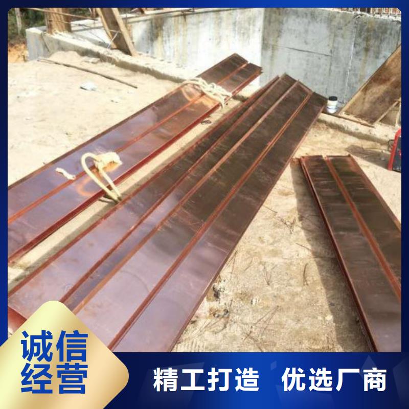 止水铜片实体厂家