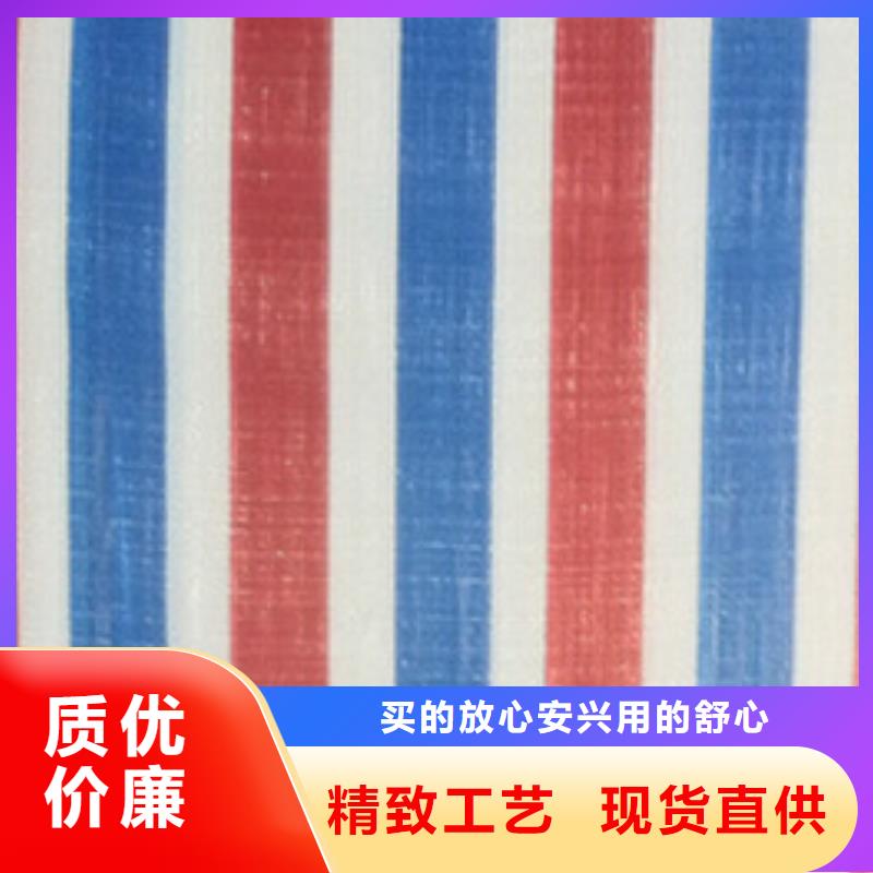 双覆膜彩条布供货商