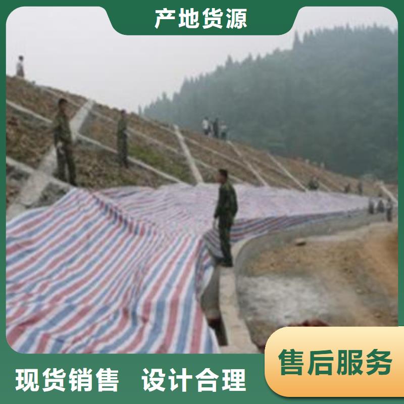 经验丰富的新料彩条布基地