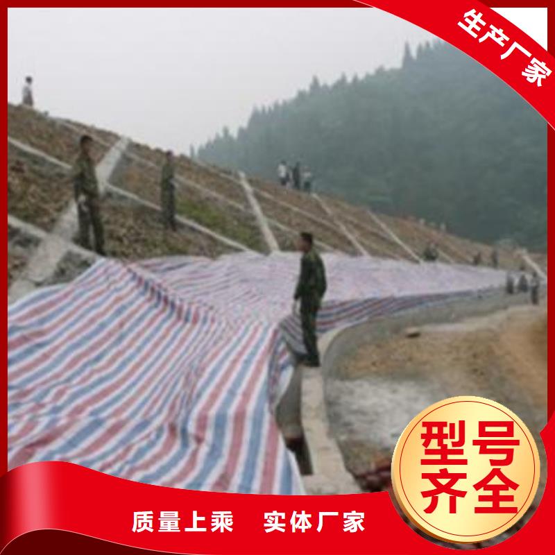 选购多功能彩条布找鑫鑫塑料编织篷布厂