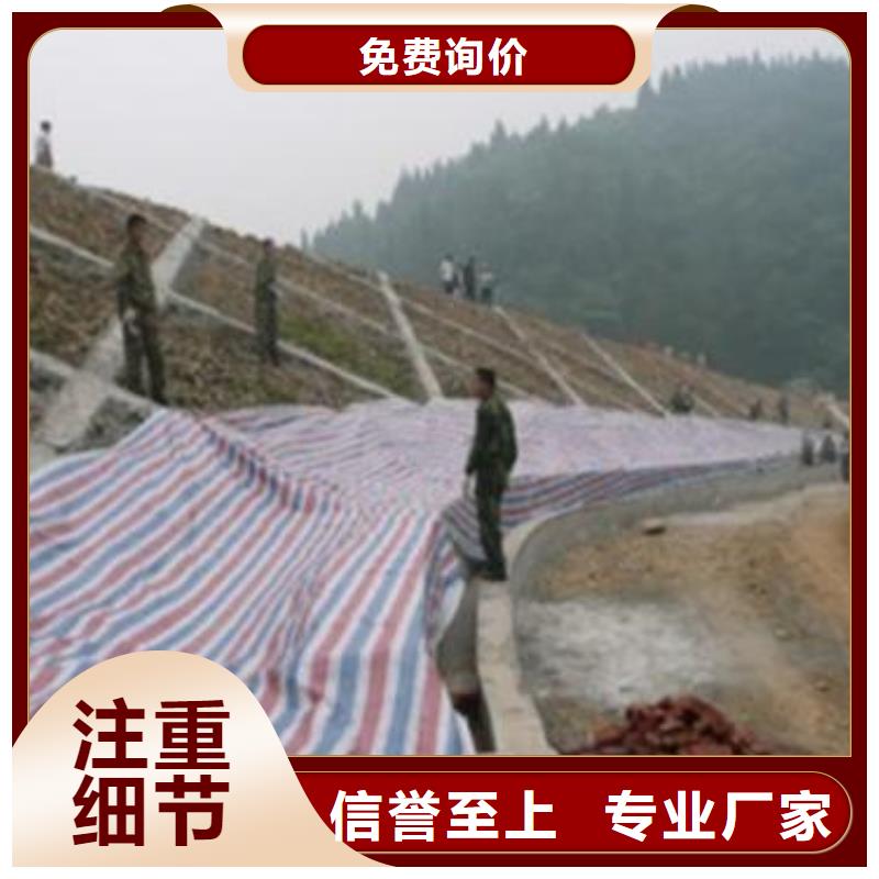 防水熟料彩条布生产定做
