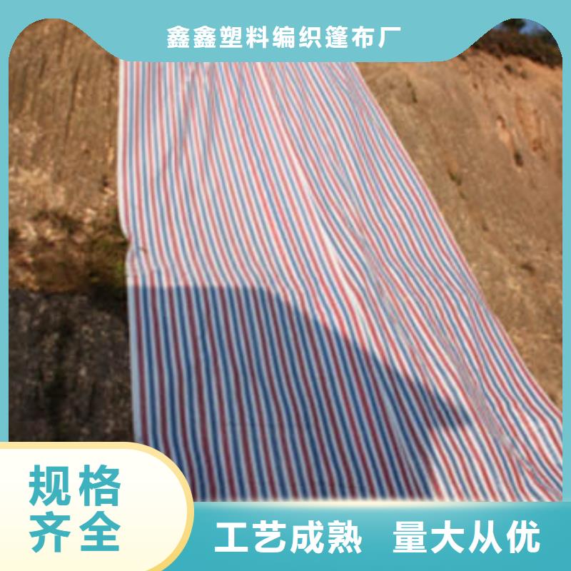 聚乙烯彩条布支持定制