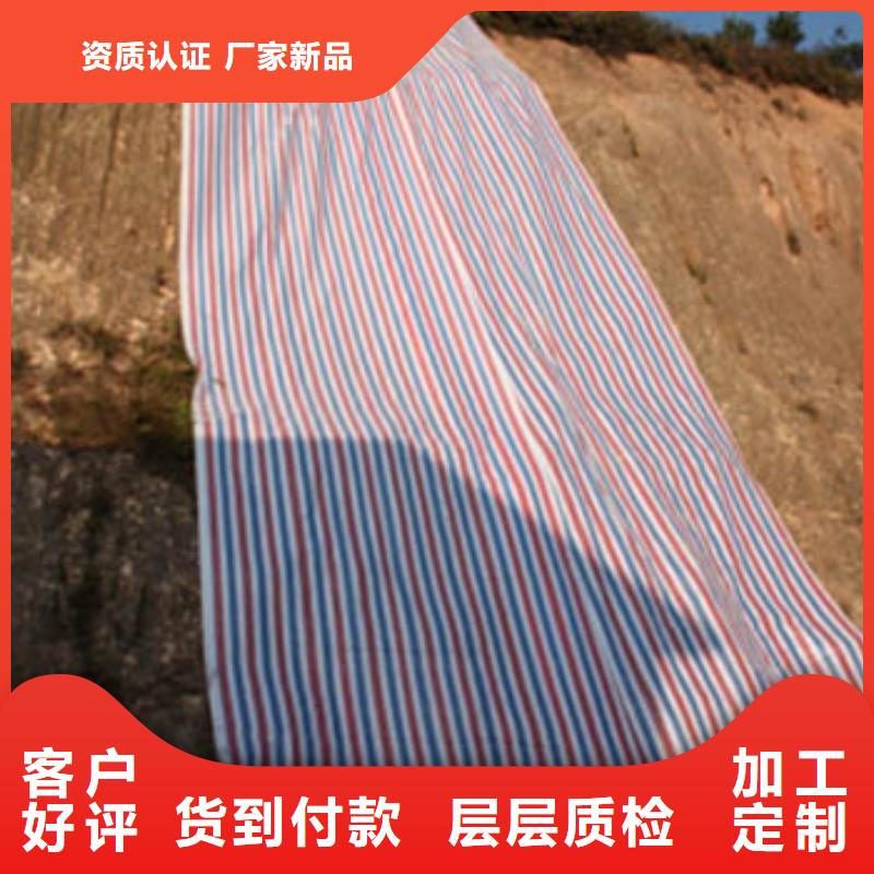 塑料编彩条布厂家电话