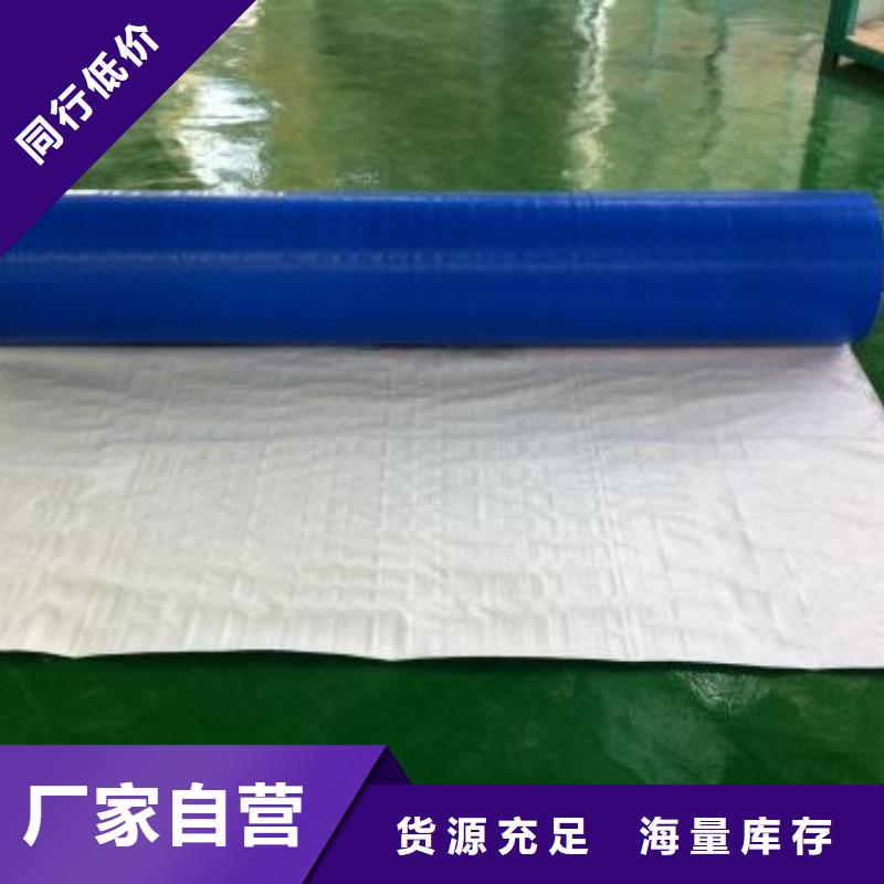 防雨布多功能彩条布超产品在细节