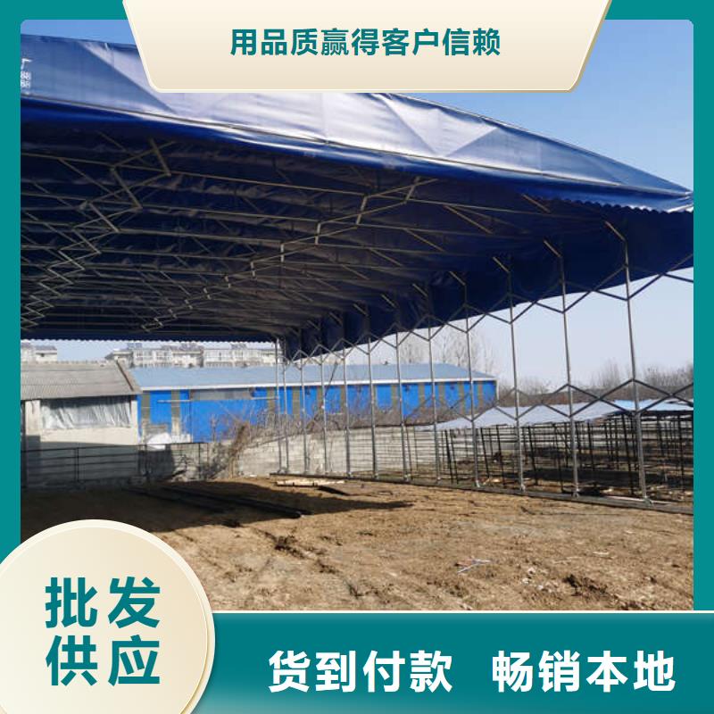 施工帐篷实体厂家