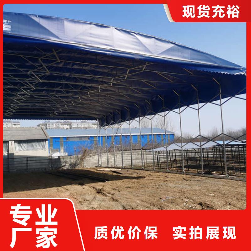 雨棚【推拉雨棚】支持大小批量采购