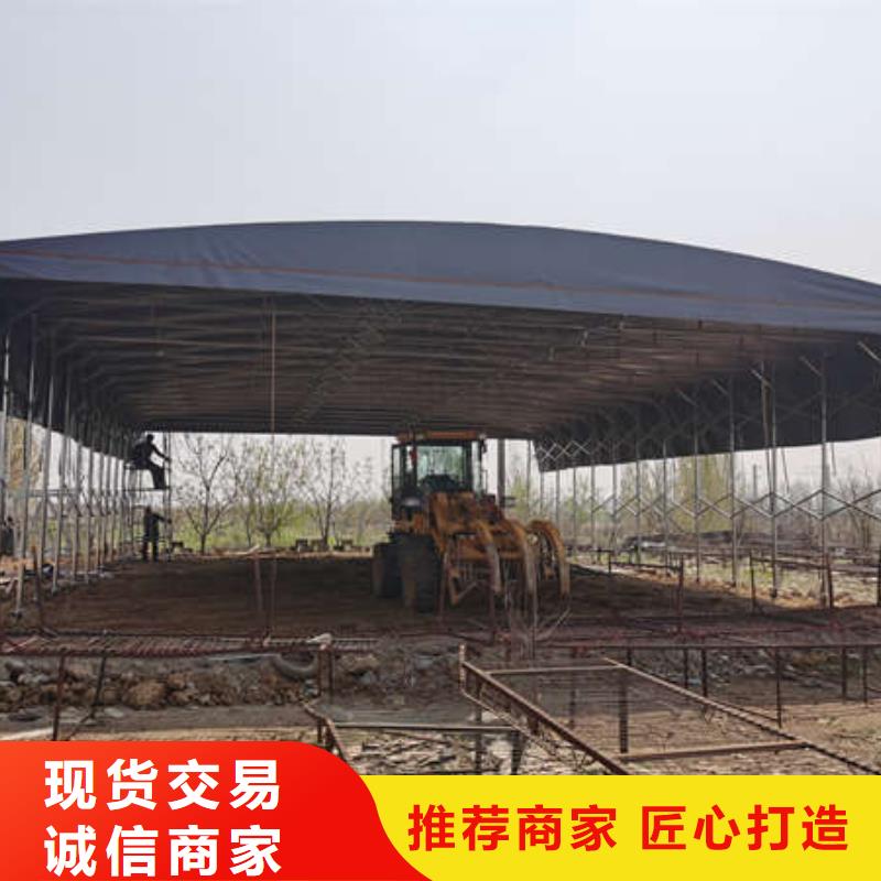 电动伸缩篷实力厂家