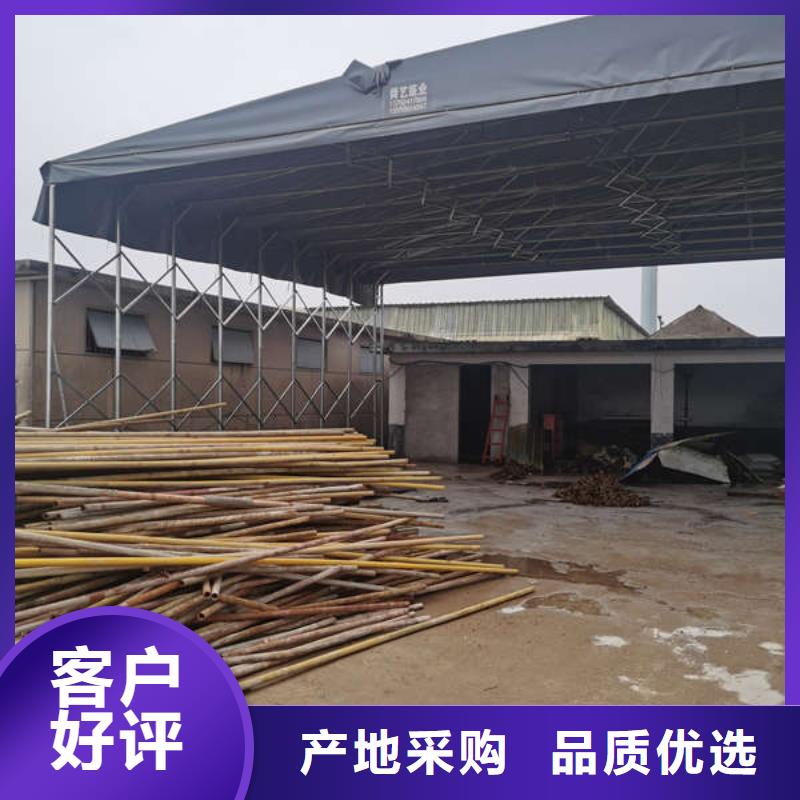 电动蓬实体大厂