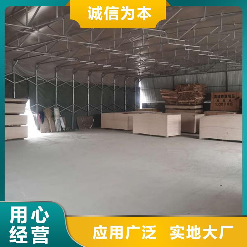 停车棚实力厂家