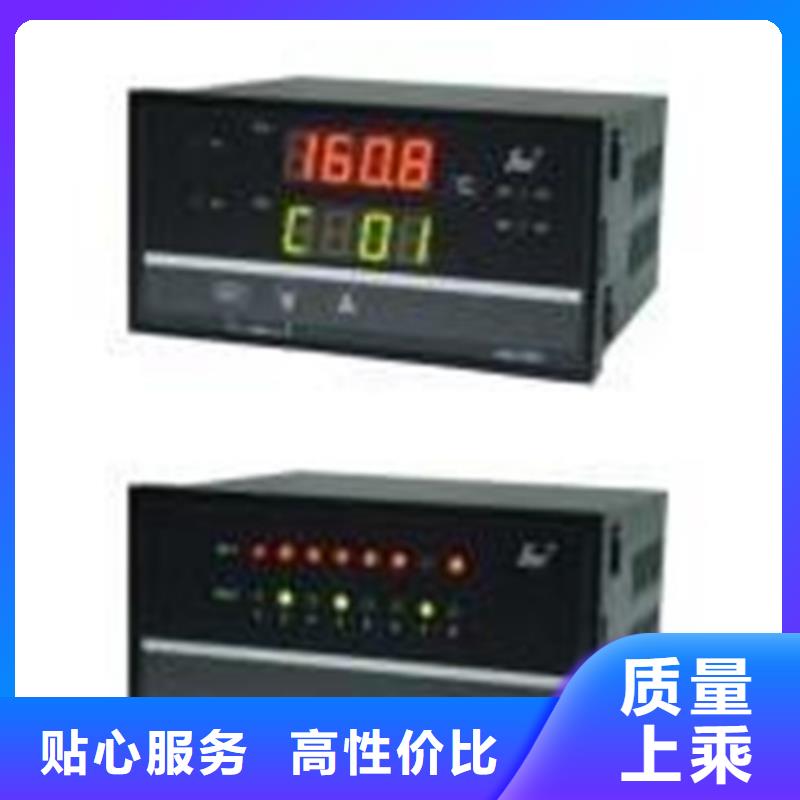 用户认可的执电阻\LDPE2-M155CT2015Pt100A厂家