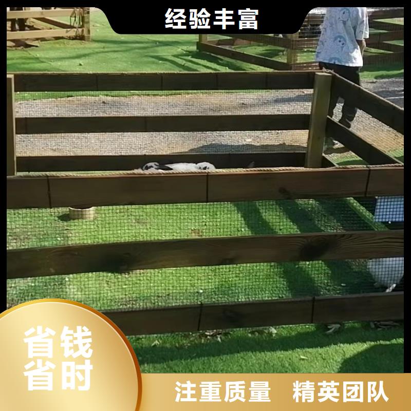 马戏团出租联系厂家
