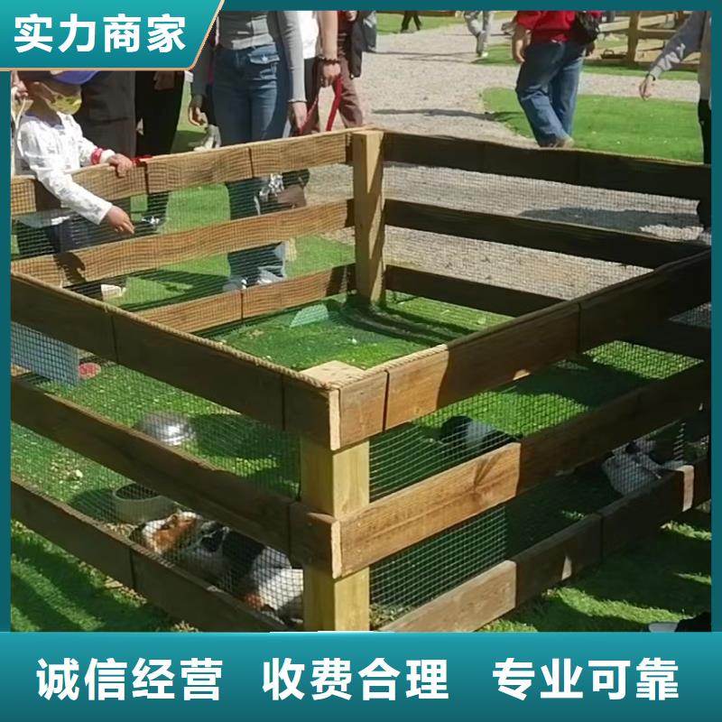 萌宠动物展出租活动庆典