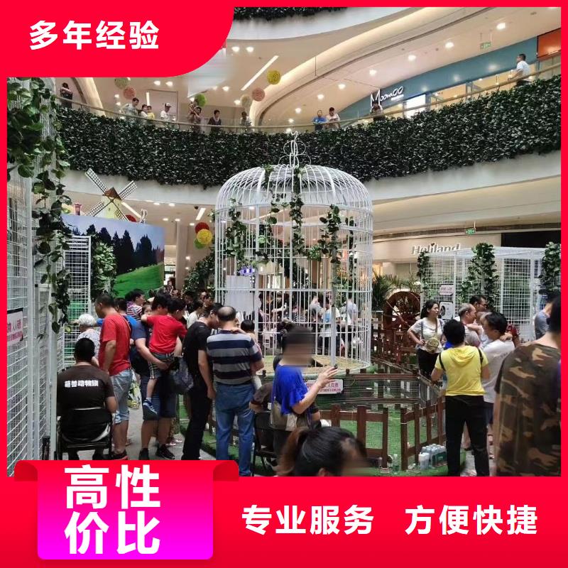 萌宠展出租正规厂家