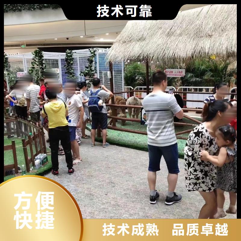 萌宠展出租正规厂家