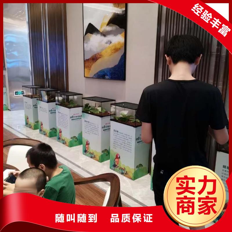 马戏团/羊驼【海狮表演出租】品质好