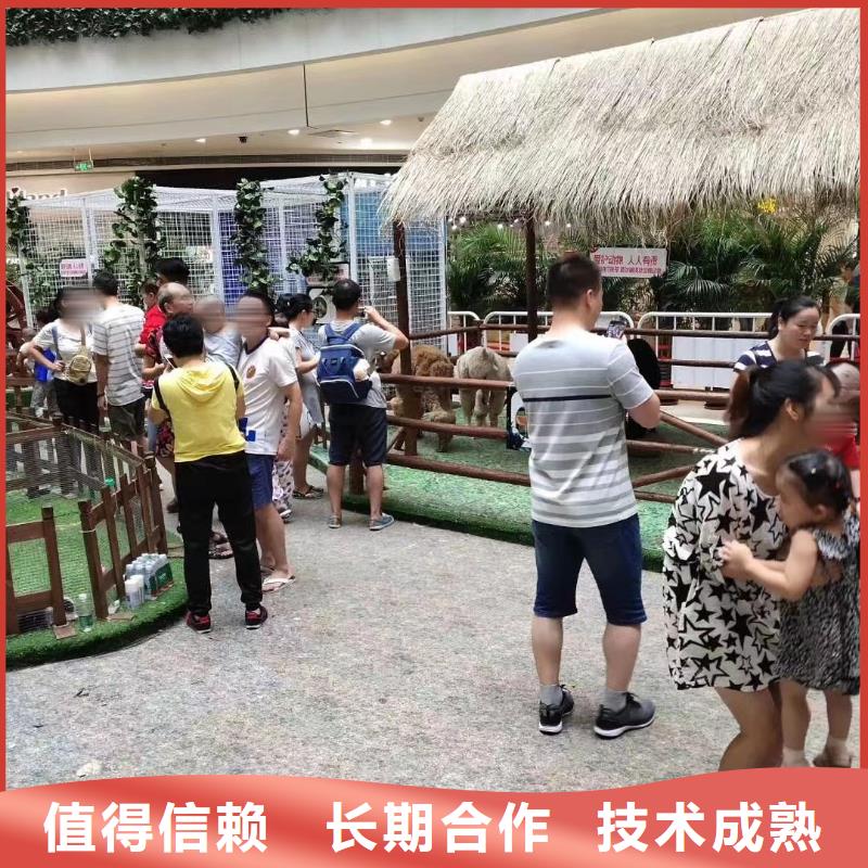 羊驼出租暖场互动