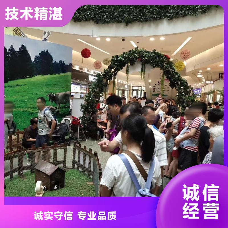 马戏团出租联系厂家