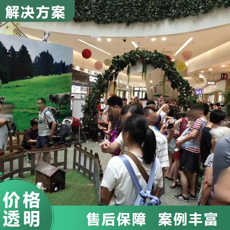 马戏团/羊驼【【活体羊驼租赁】】售后保障
