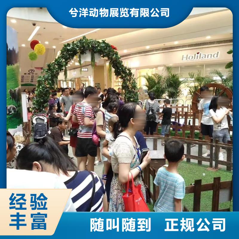 萌宠动物展出租活动庆典