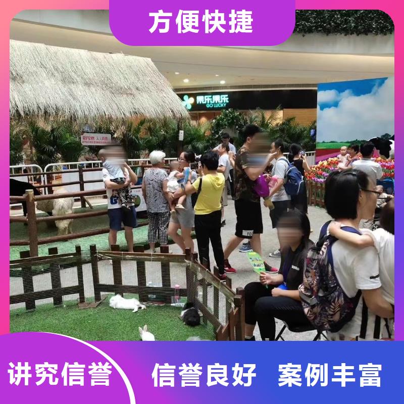 羊驼出租暖场互动