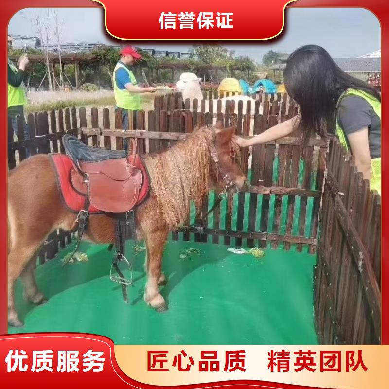 马戏团出租联系厂家