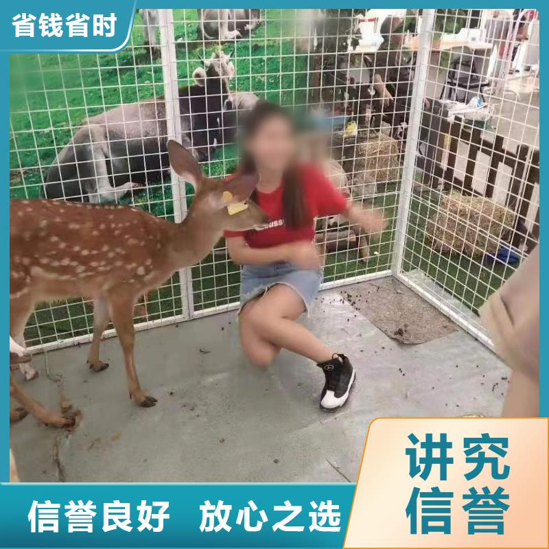 萌宠展出租正规厂家