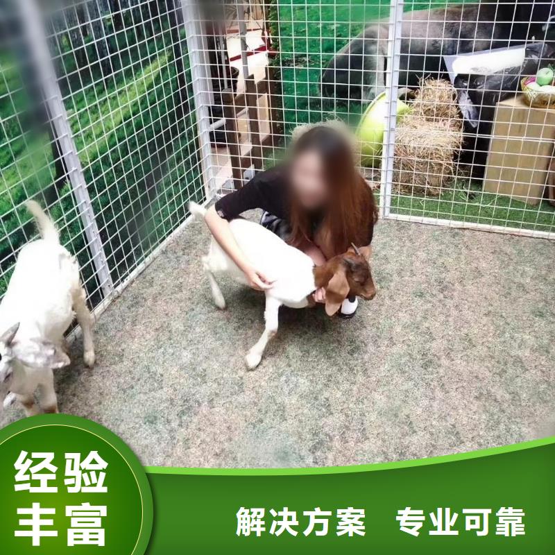 萌宠动物展出租活动庆典