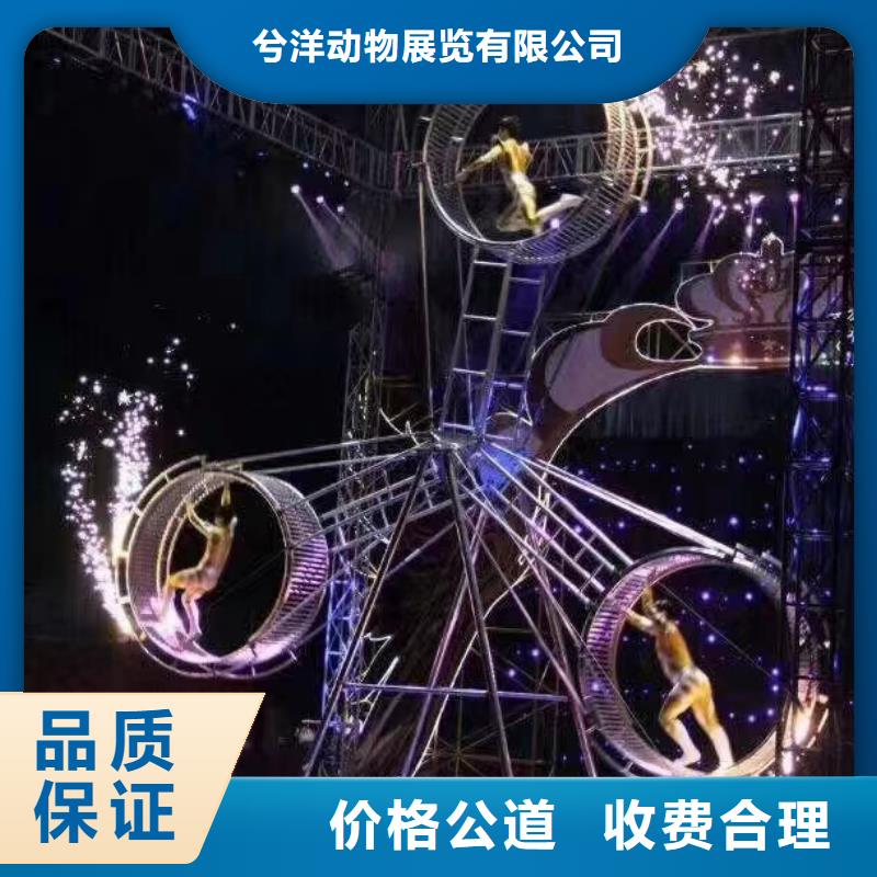 羊驼出租暖场互动