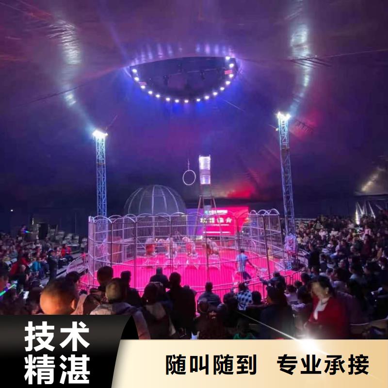 马戏团/羊驼马戏团表演实力雄厚