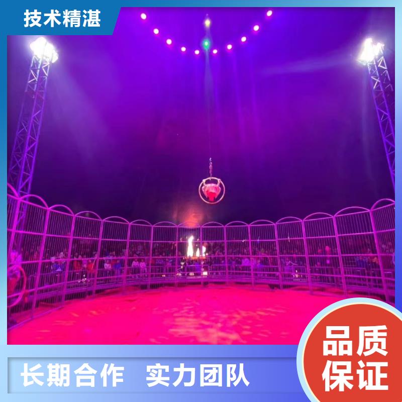 租赁马戏团表演丰富多彩