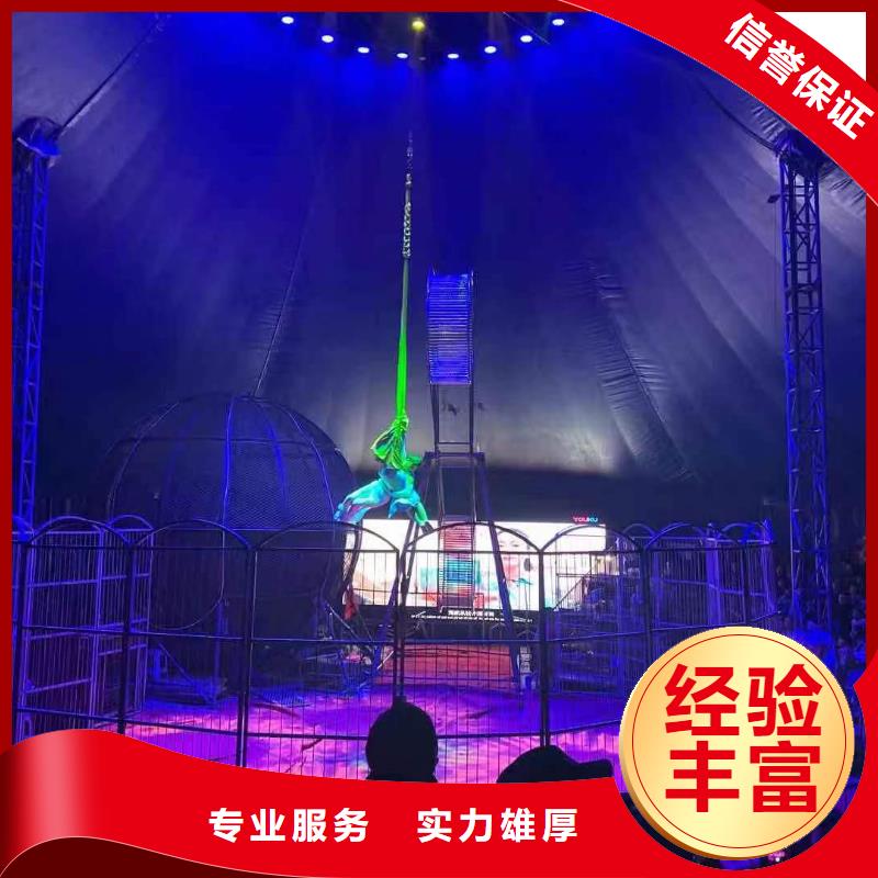 马戏团/羊驼马戏团表演实力雄厚