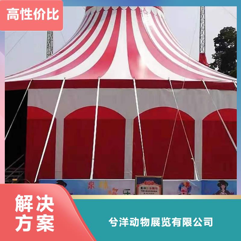 哪里有羊驼租赁的一手资源