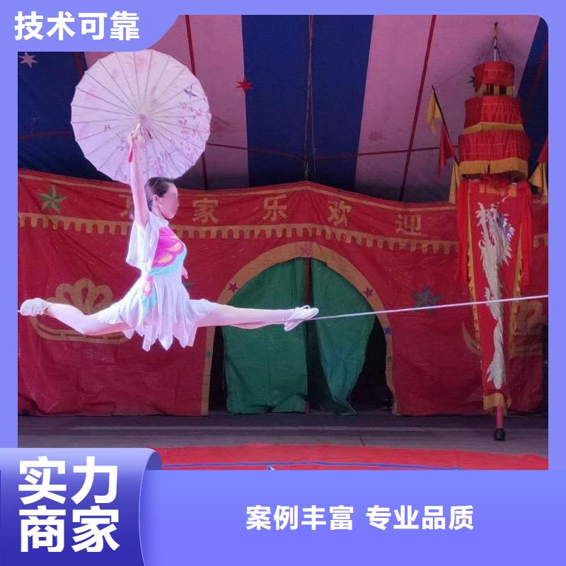 马戏团/羊驼【【活体羊驼租赁】】售后保障