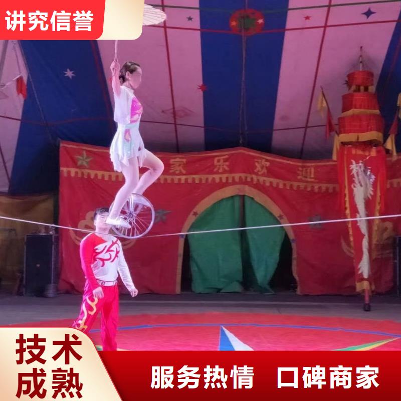 马戏团/羊驼【海狮表演出租】品质好
