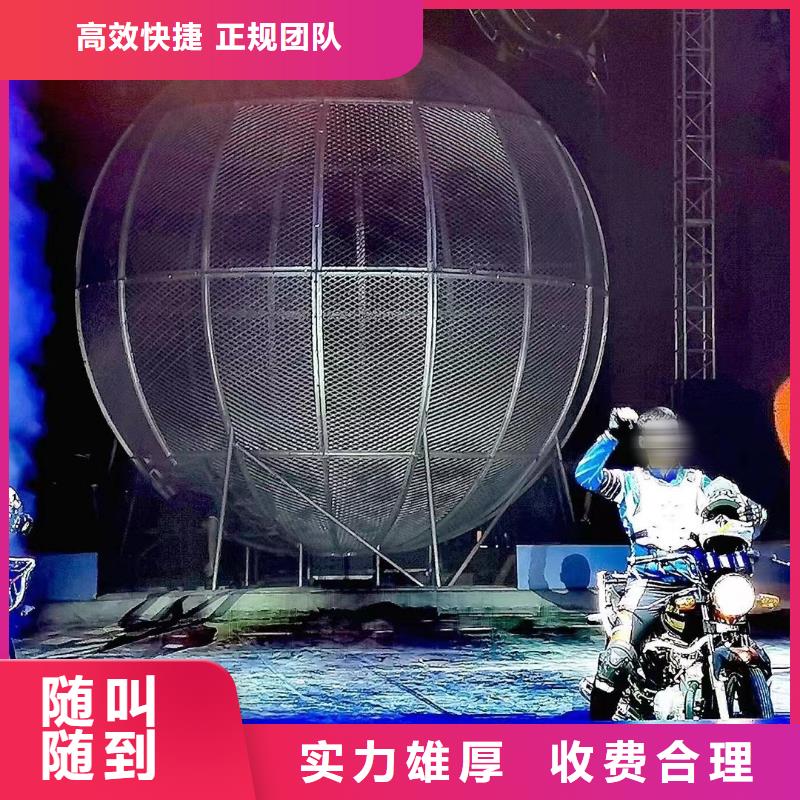 鹦鹉表演出租