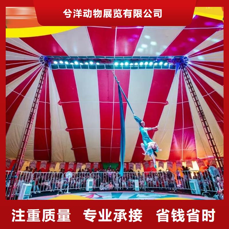 哪里有羊驼租赁的一手资源