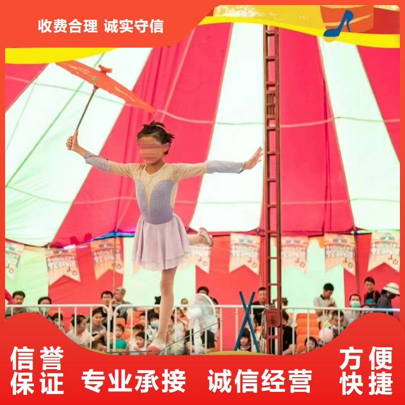 马戏团/羊驼【海狮表演出租】品质好